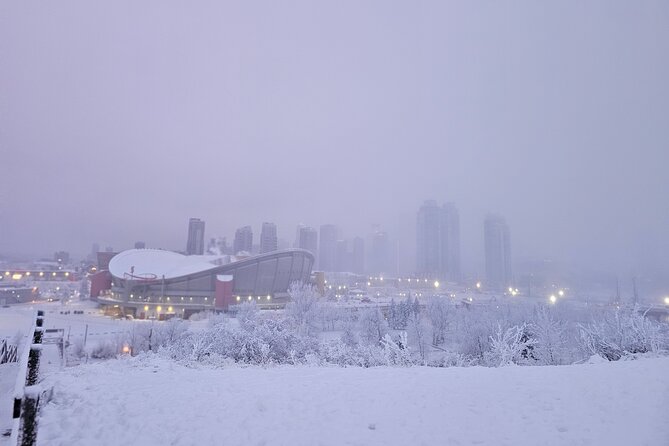 Calgary City Tour and Yamnuska Wolfdog Sanctuary Private Tour - Scenic Relaxation at Ghost Lake
