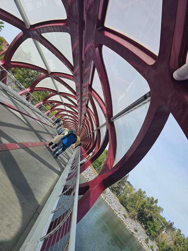 Calgary City Tour & Yamnuska Wolfdog Sanctuary Private Tour - Visiting the Yamnuska Wolfdog Sanctuary: Close Encounters with Rescued Wolfdogs