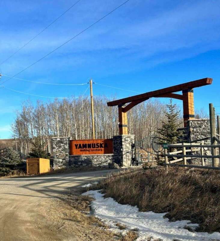 Calgary City Tour & Yamnuska Wolfdog Sanctuary Private Tour - Exploring Calgary’s Natural Beauty at Prince’s Island Park