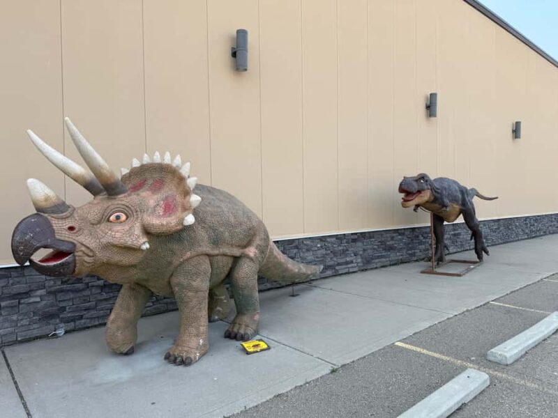 Calgary: Drumheller and Badlands Tour with Museum Entry - Key Points