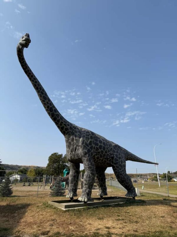 Calgary: Drumheller and Badlands Tour with Museum Entry - Discovering the Royal Tyrrell Museums Dinosaur Collection