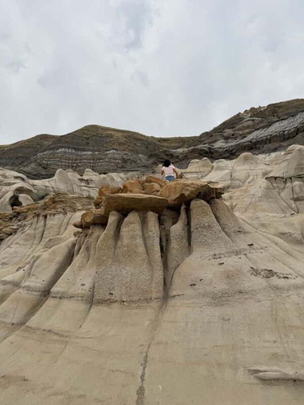 Calgary: Drumheller and Badlands Tour with Museum Entry - Why Choose This Calgary Badlands Tour