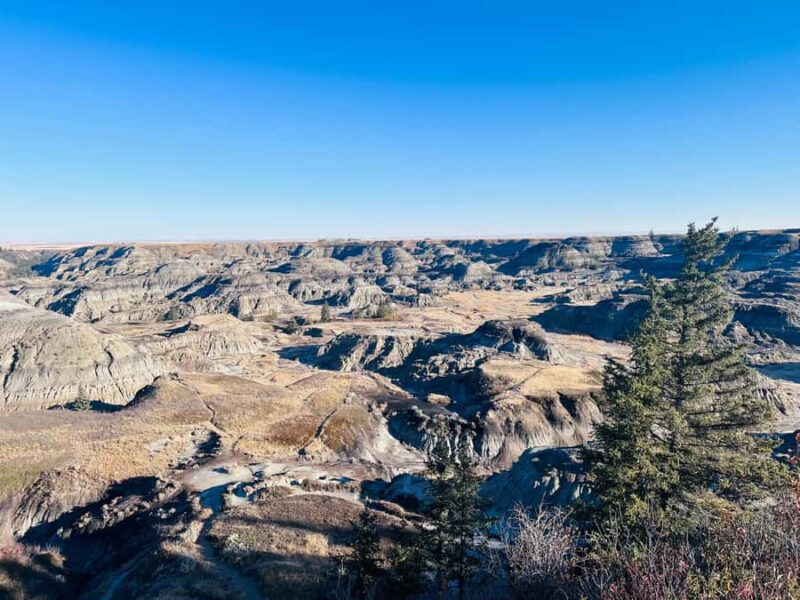 Calgary: Guided Drumheller Small Group Tour Museum, Hoodoos - Key Points