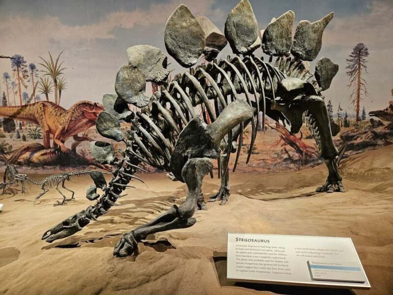 Calgary: Guided Drumheller Small Group Tour Museum, Hoodoos - Starting from Calgary: Easy Pickup and Drop-off Locations