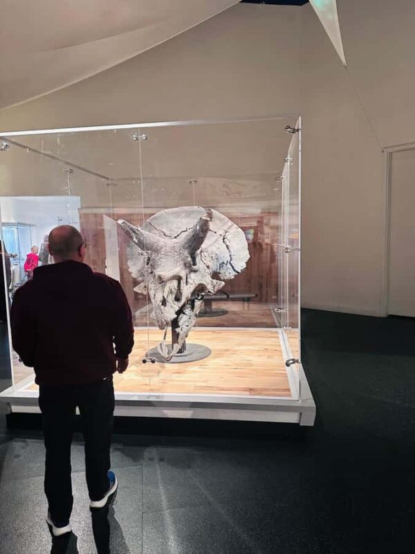 Calgary: Guided Drumheller Small Group Tour Museum, Hoodoos - The Guide’s Role and Tour Experience