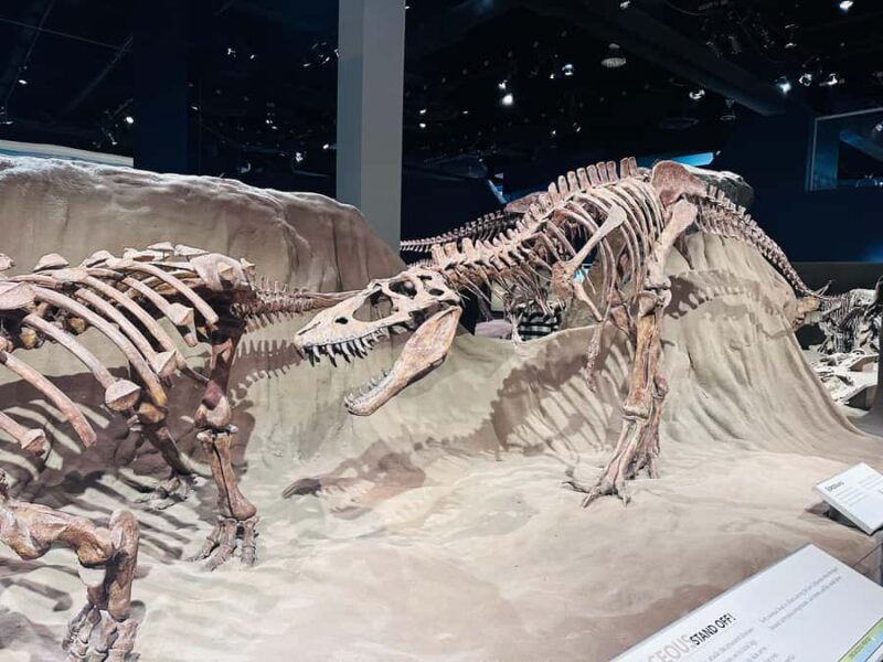 Calgary: Guided Drumheller Small Group Tour Museum, Hoodoos - Final Thoughts on the Drumheller Small Group Tour