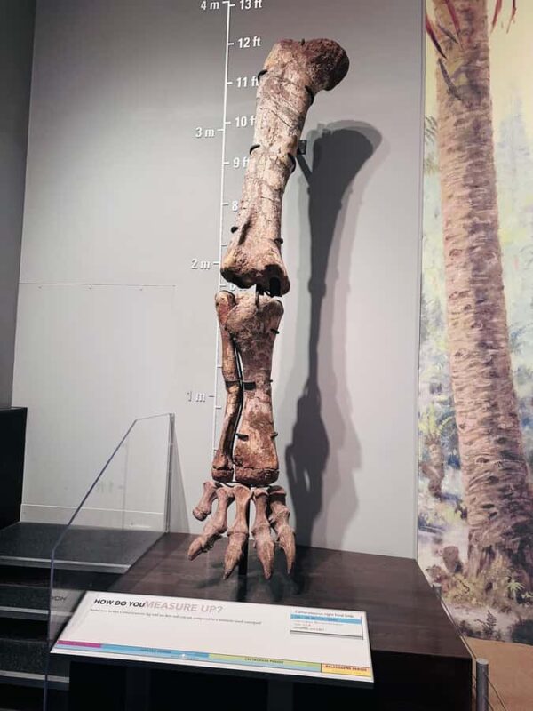 Calgary: Guided Drumheller Small Group Tour Museum, Hoodoos - Frequently Asked Questions