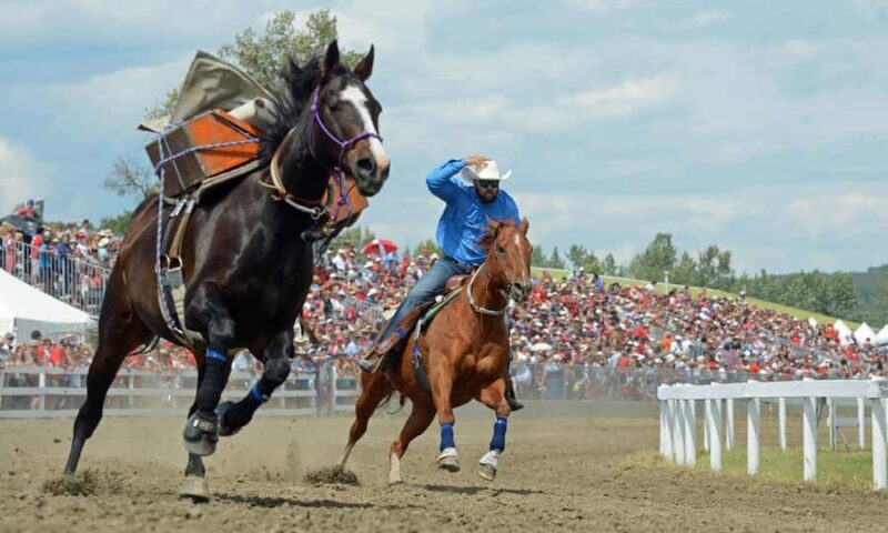 Calgary: Heartland Filming Locations Tour - Exploring High River’s Iconic Heartland Sites