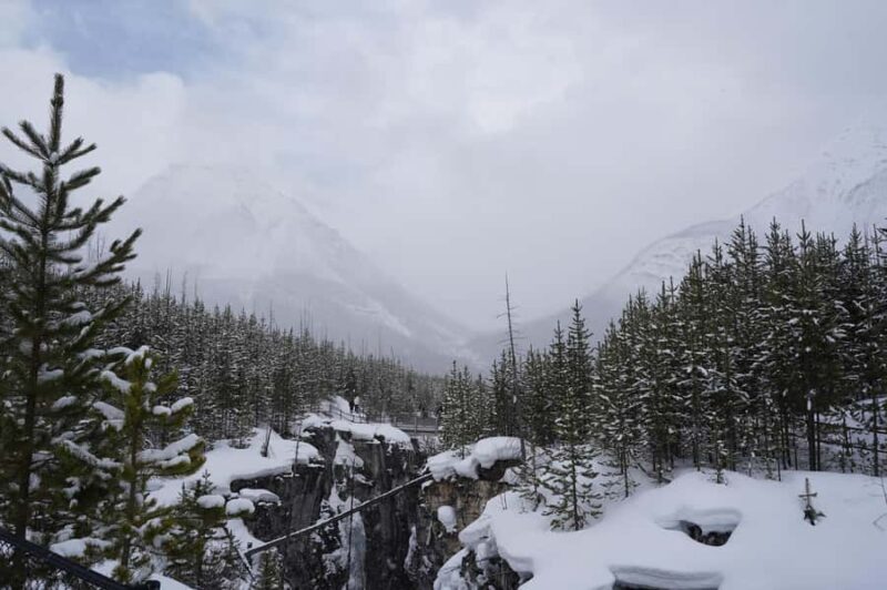 Calgary: Marble Canyon Icefalls & Lake Louise Guided Tour - Comparing with Similar Experiences