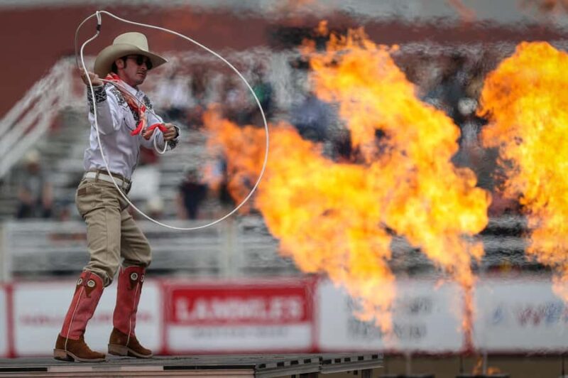 Calgary Stampede Afternoon Rodeo - Key Points