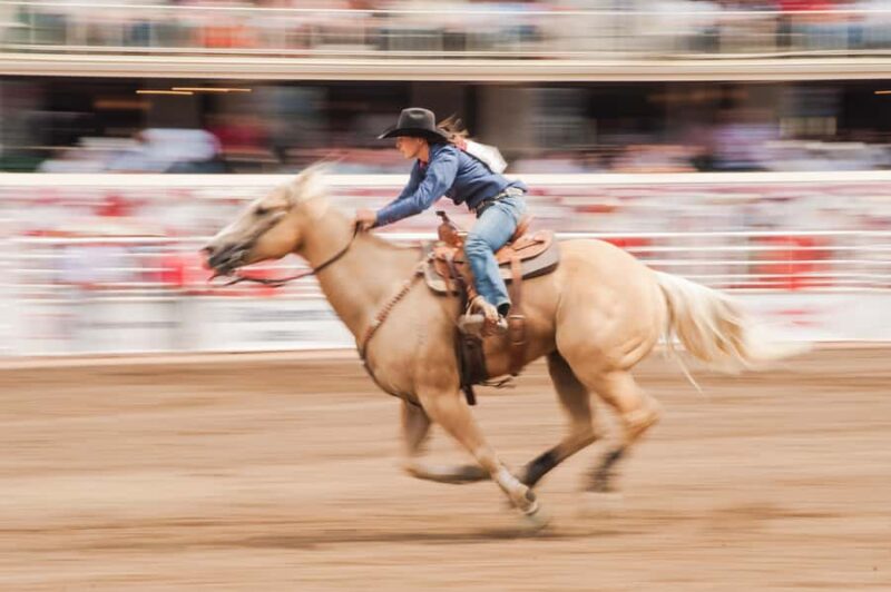 Calgary Stampede Afternoon Rodeo - Location and Meeting Arrangements at Will Call