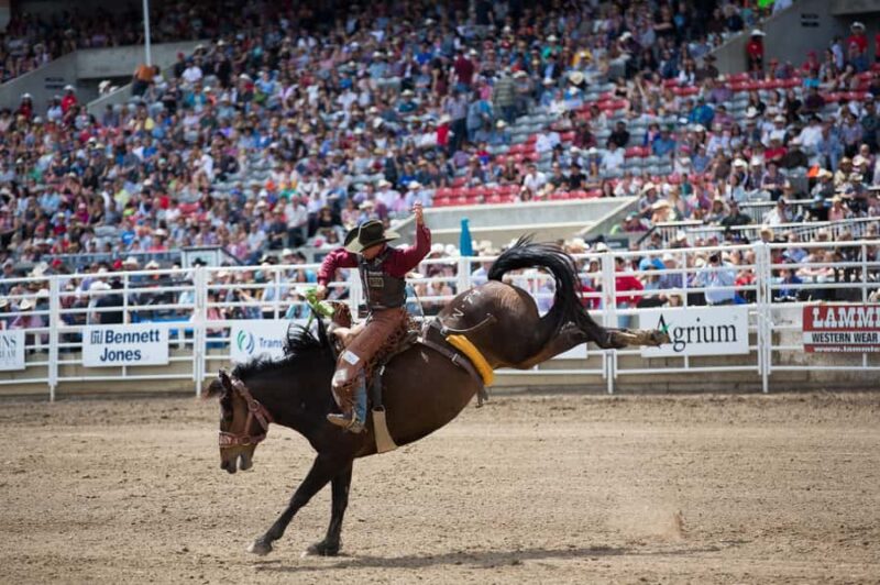 Calgary Stampede: Two Day Thrill Package - From the Ticket Pickup to the Main Events at Stampede Park