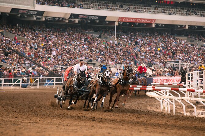 Calgary Stampede Two Day Thrill Package - Practical Tips for Your Stampede Visit