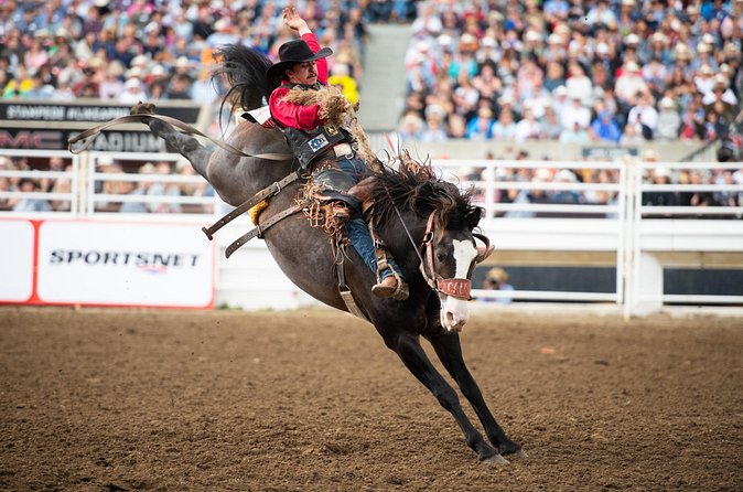 Calgary Stampede Two Day Thrill Package - The Pros and Cons of the Calgary Stampede Two Day Thrill Package
