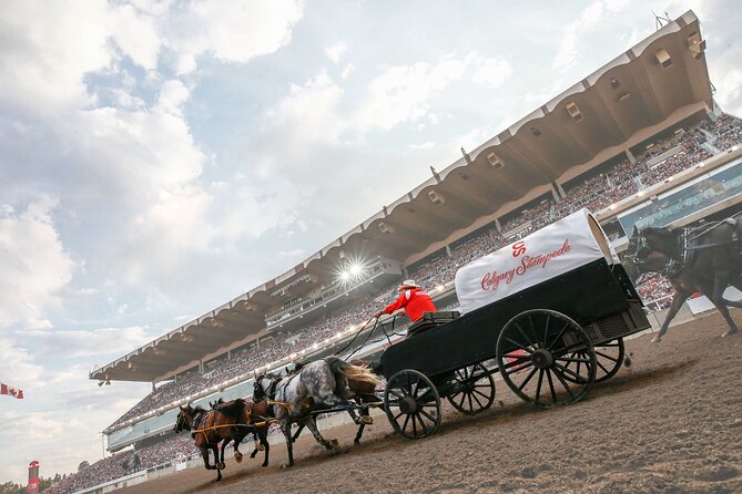 Calgary Stampede Two Day Thrill Package - Who Should Consider This Package?