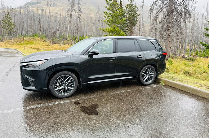 Calgary to Jasper Private Luxury Transfer - Why Choose This Private Luxury Transfer Over Other Options?