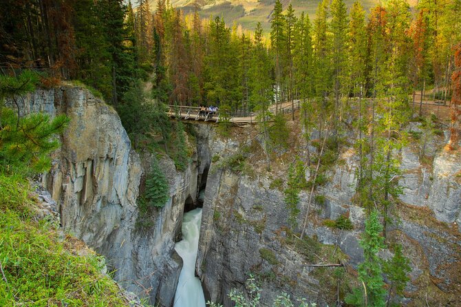 Calgary to Jasper: Ultimate Canadian Rockies Experience - Sunwapta Falls and Canyon: Witness the Power of Glacial Waters