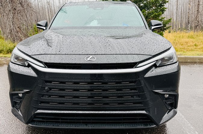 Calgary to Medicine Hat Private Luxury Lexus Tx Transfer - Experience Rockies & Badland Explorers