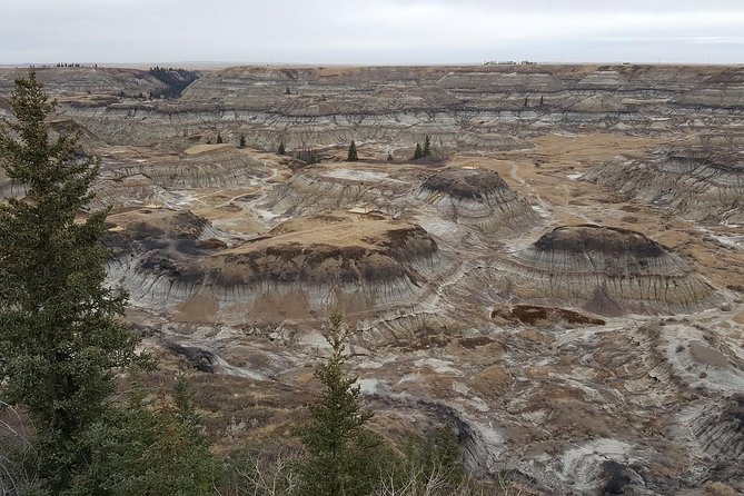 Calgary to Royal Museum | Drumheller  PRIVATE TOUR - Visiting the Atlas Coal Mine and Its Historic Significance