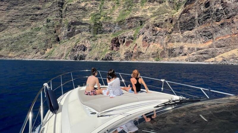 Calheta: Private Charter  Aestus Luxury Boat - Marine Wildlife Sightings: Dolphins, Turtles, and Whales