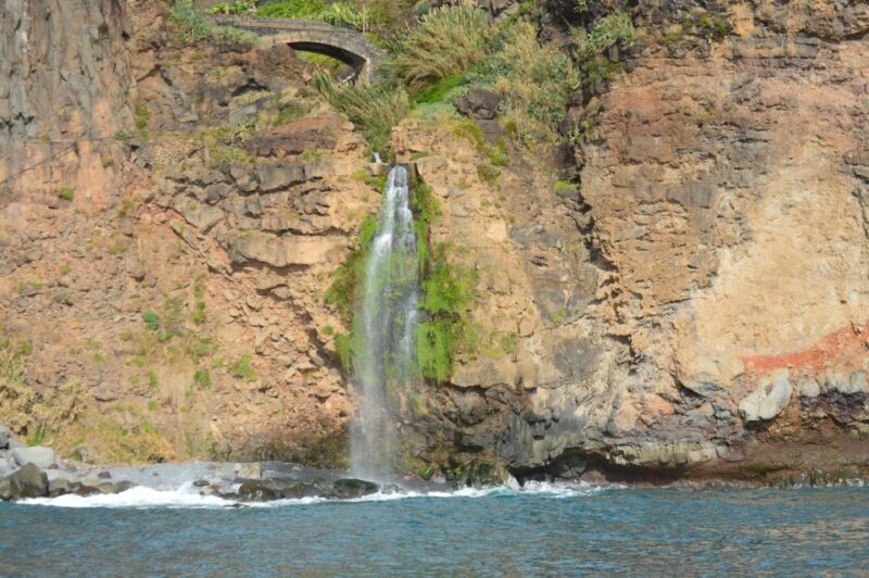 Calheta: Whale & dolphin watching small groups designer tour - The Crew and Guide Experience