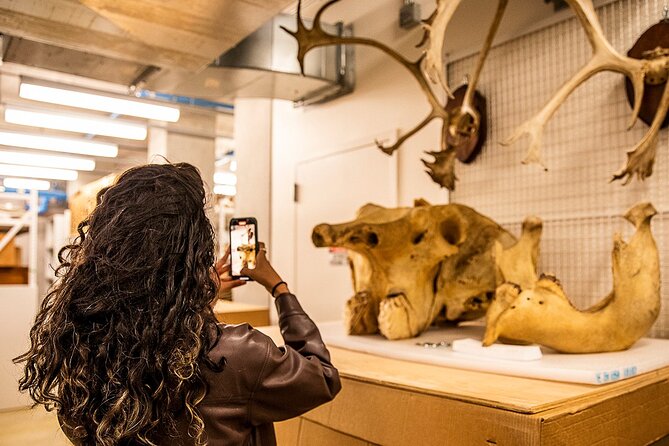 California Academy of Sciences NightLife Plus Admission Ticket - Discover the California Academy of Sciences NightLife Plus Experience in San Francisco