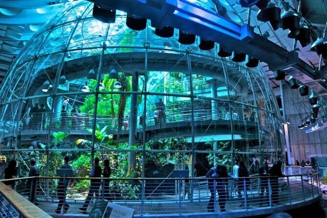 California Academy of Sciences Ticket in San Francisco - Practical Tips for Visiting the Academy