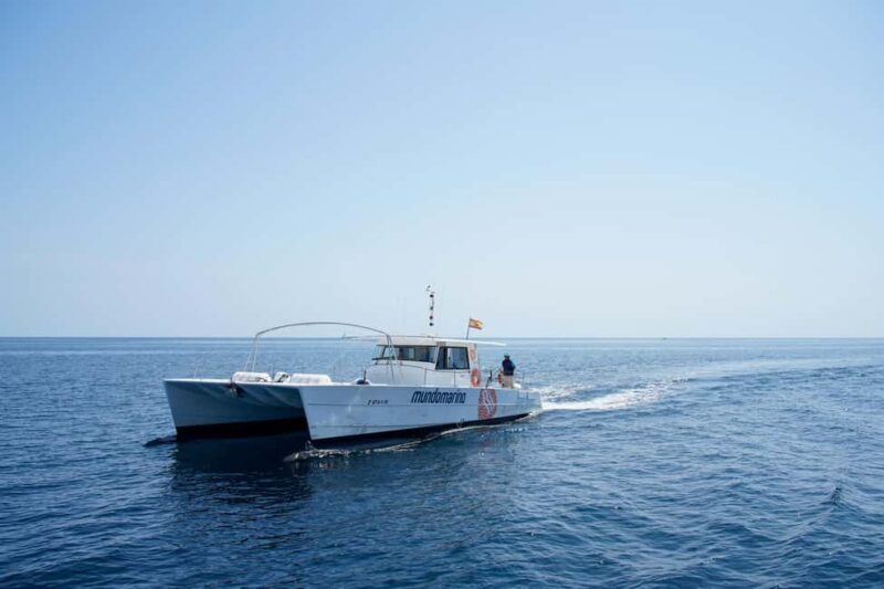 Calpe: Boat Tour with Sunset Option & DJ - Comparing the Sunset and Daytime Options