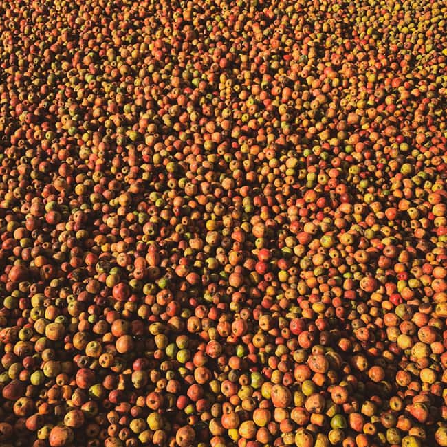 Calvados: the art of making Coquerel Calvados and Normindia Gin - Frequently Asked Questions