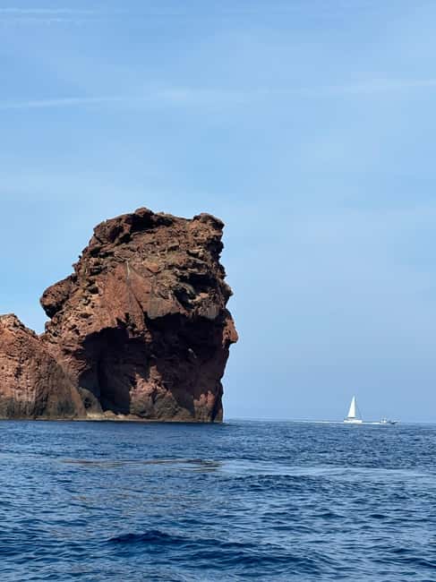 Calvi: Guided speedboat tour to Scandola - Key Points