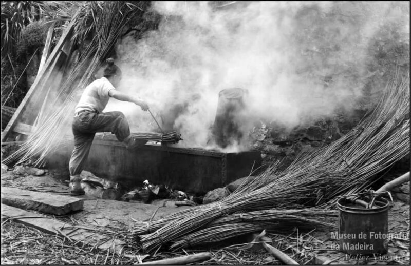Camacha - The art of wickerwork - Explore Camacha’s Wickerwork and Levada Trails in Madeira