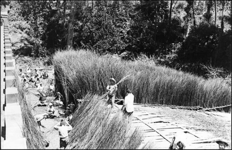 Camacha - The art of wickerwork - Key Points