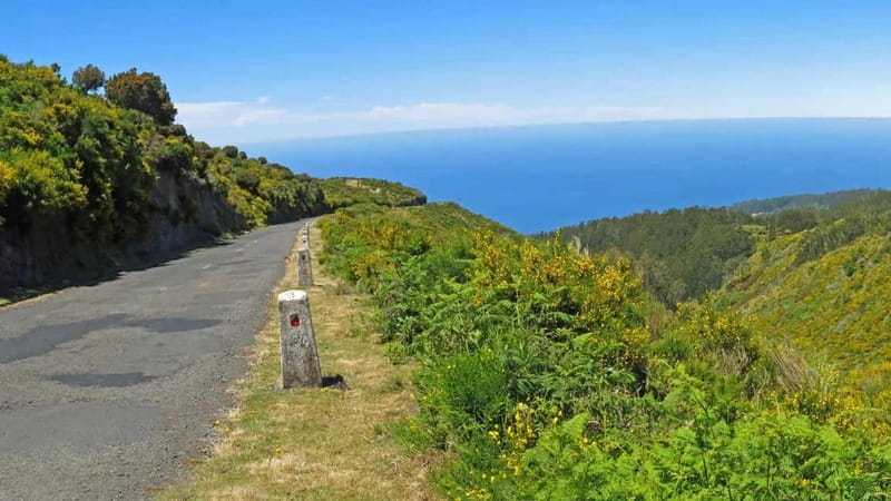 Câmara de Lobos, Pico da Torre, and Porto Moniz Tour - Practical Details and Tour Experience