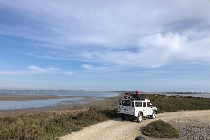 Camargue 4x4 Safari 2 hours Saintes Maries de la Mer - Accessibility and Group Size