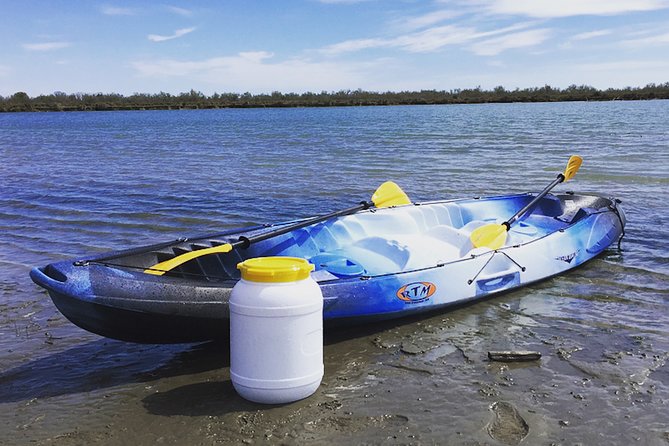 Camargue 4x4 Safari 2h + Picnic + Kayak - Key Points