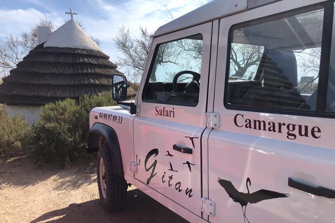 Camargue 4x4 Safari 2h + Picnic + Kayak - Camargue 4x4 Safari, Picnic, and Kayak: Who Will Love It?