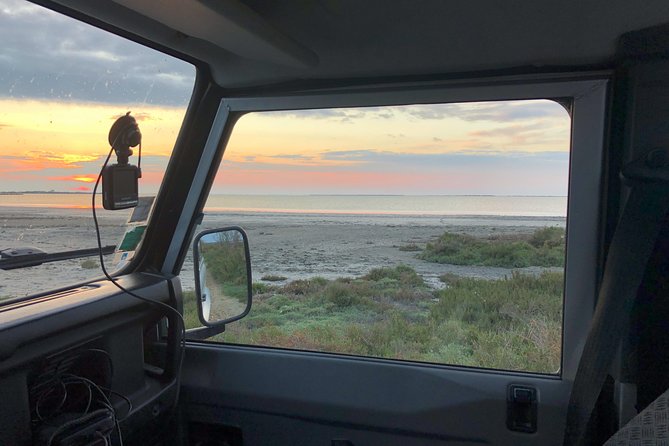 Camargue 4x4 Safari Day - The Guide: Passionate and Informative
