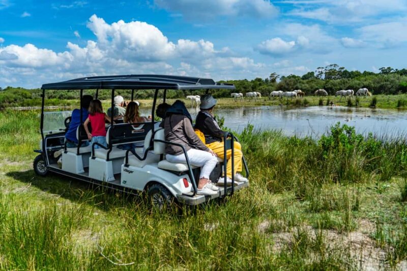 Camargue: Electric Safari with Guide - Key Points