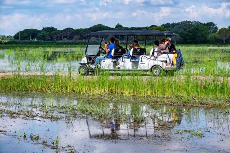 Camargue: Electric Safari with Guide - Exploring the Camargue on an Electric Safari