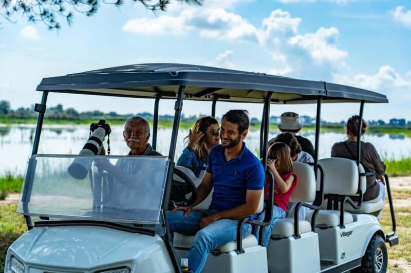 Camargue: Electric Safari with Guide - Wildlife Encounters in the Wetlands