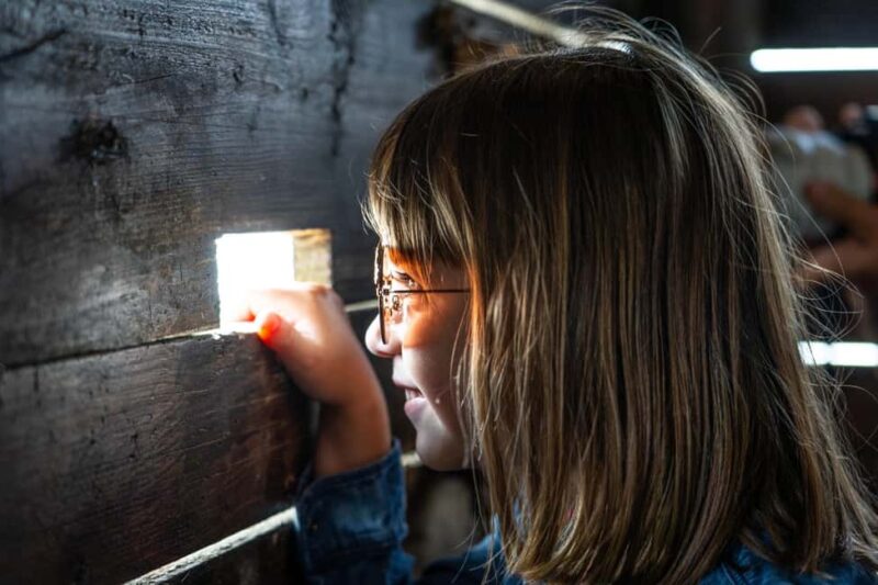 Camargue: Electric Safari with Guide - Accessibility and Family-Friendly Features