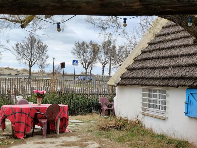 Camargue, its secrets and its magic: an exclusive tour - Key Points