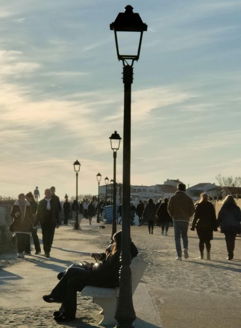 Camargue, its secrets and its magic: an exclusive tour - Comparing Similar Camargue Experiences