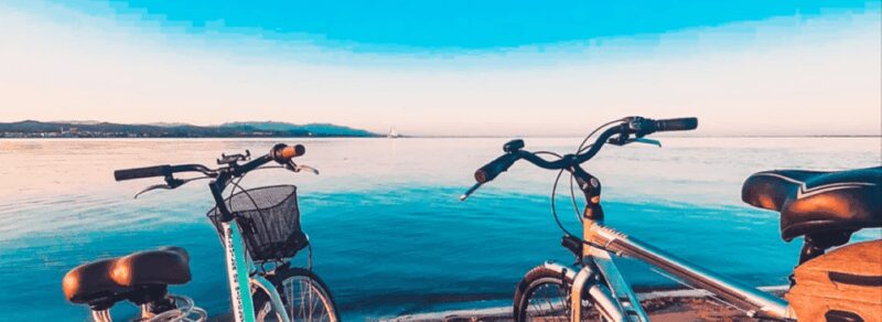 Camarles: Bike Rental - Explore the Ebro Delta at Your Own Pace with Camarles Bike Rental