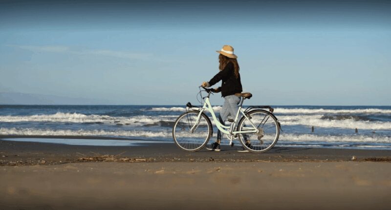 Camarles: Bike Rental - The Scenic Route: Rice Fields, Fangar Bay, and La Marquesa Beach