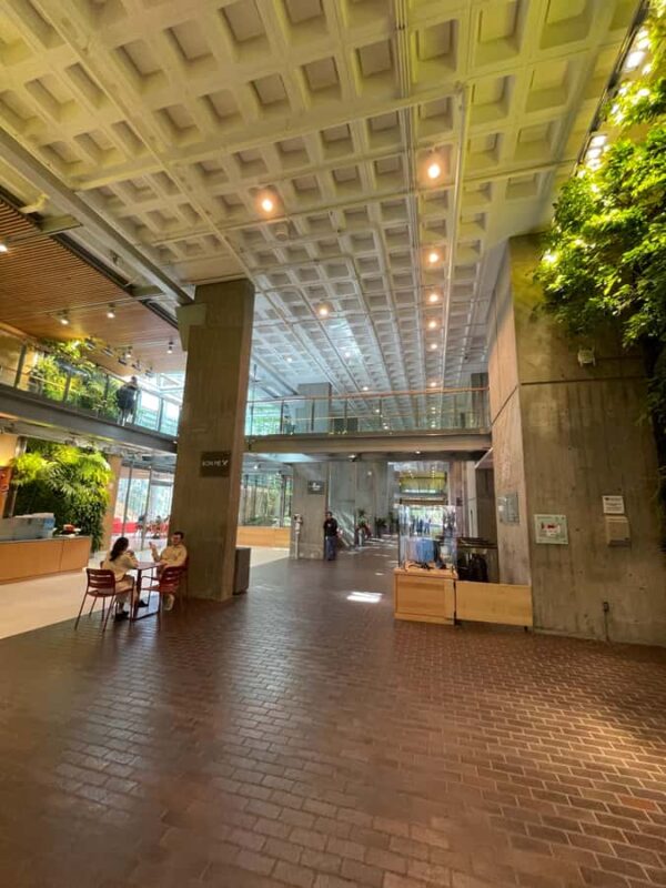 Cambridge: Discover Harvard Squares Most Delicious Donuts - Comparing with Other Boston and Cambridge Tours