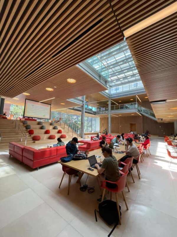 Cambridge: Discover Harvard Squares Most Delicious Donuts - An Exciting Way to Celebrate Harvard Square’s Food Culture