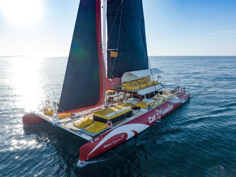 Cambrils: 1-hour catamaran cruise with a Balinese bed and a drink - Key Points