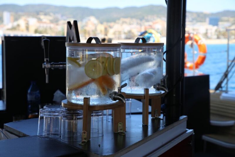 Cambrils: Catamaran Cruise with Drinks and BBQ Lunch Option - The Comfort and Quality of the Vessel