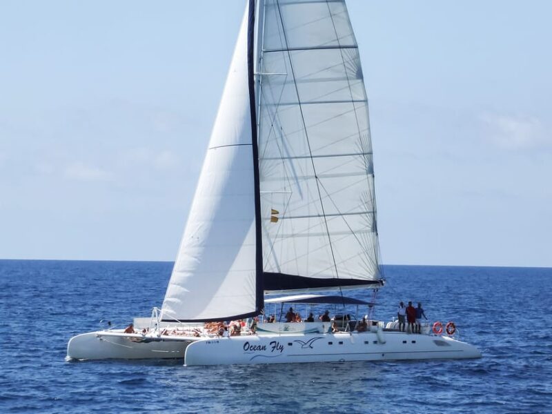 Cambrils: Costa Daurada Sail Catamaran Cruise - The Crew and Guide: Friendly, Multilingual, and Knowledgeable